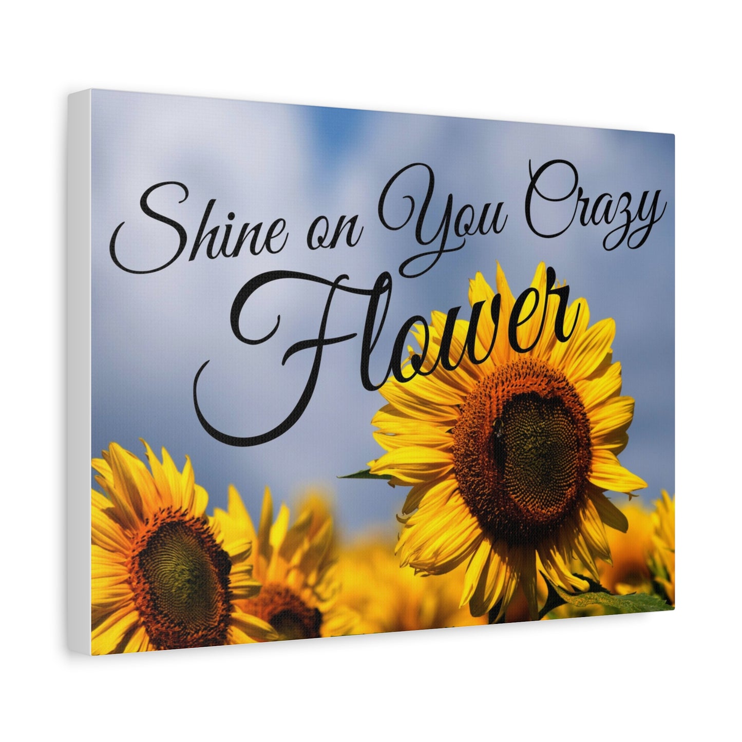 Shine on You Crazy Flower Matte Canvas, Stretched, 1.25"