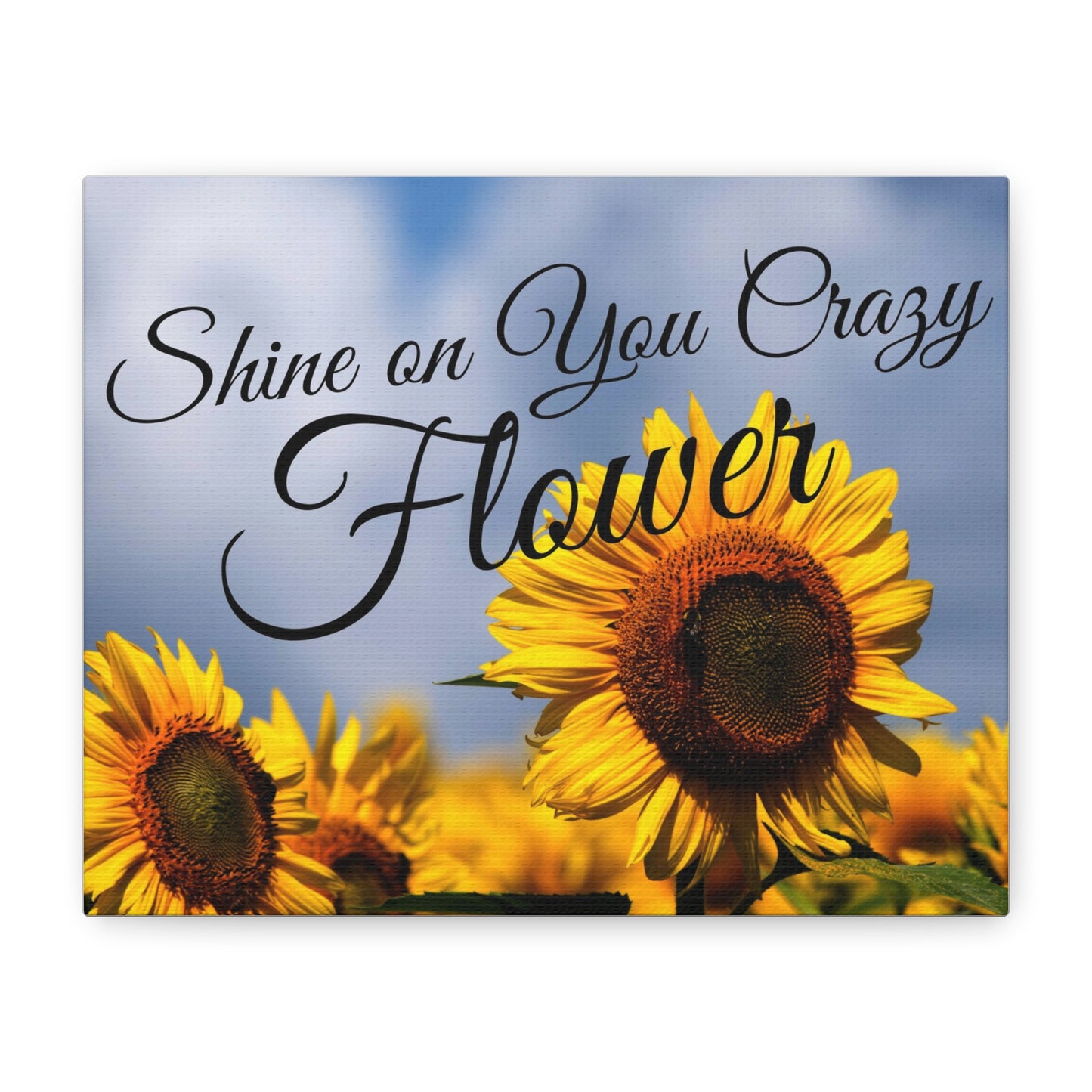 Shine on You Crazy Flower Matte Canvas, Stretched, 1.25"