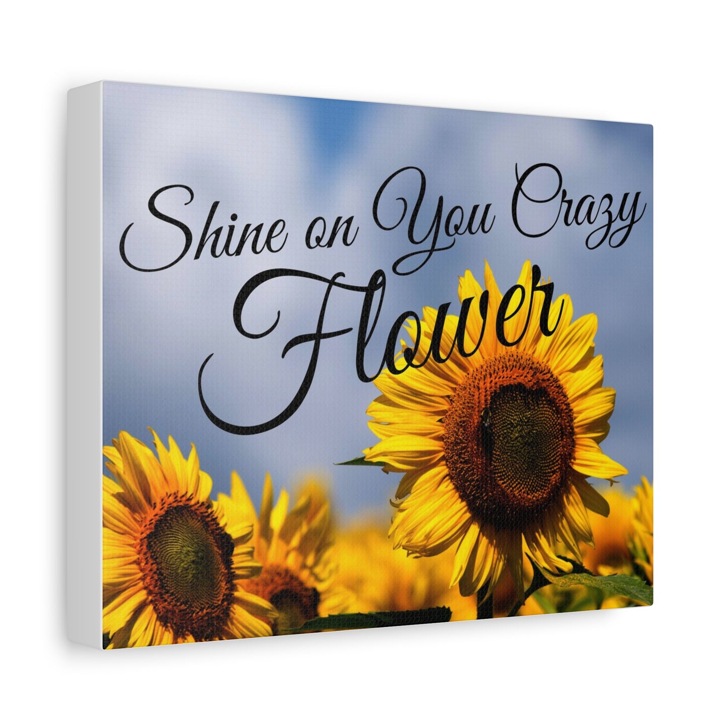 Shine on You Crazy Flower Matte Canvas, Stretched, 1.25"