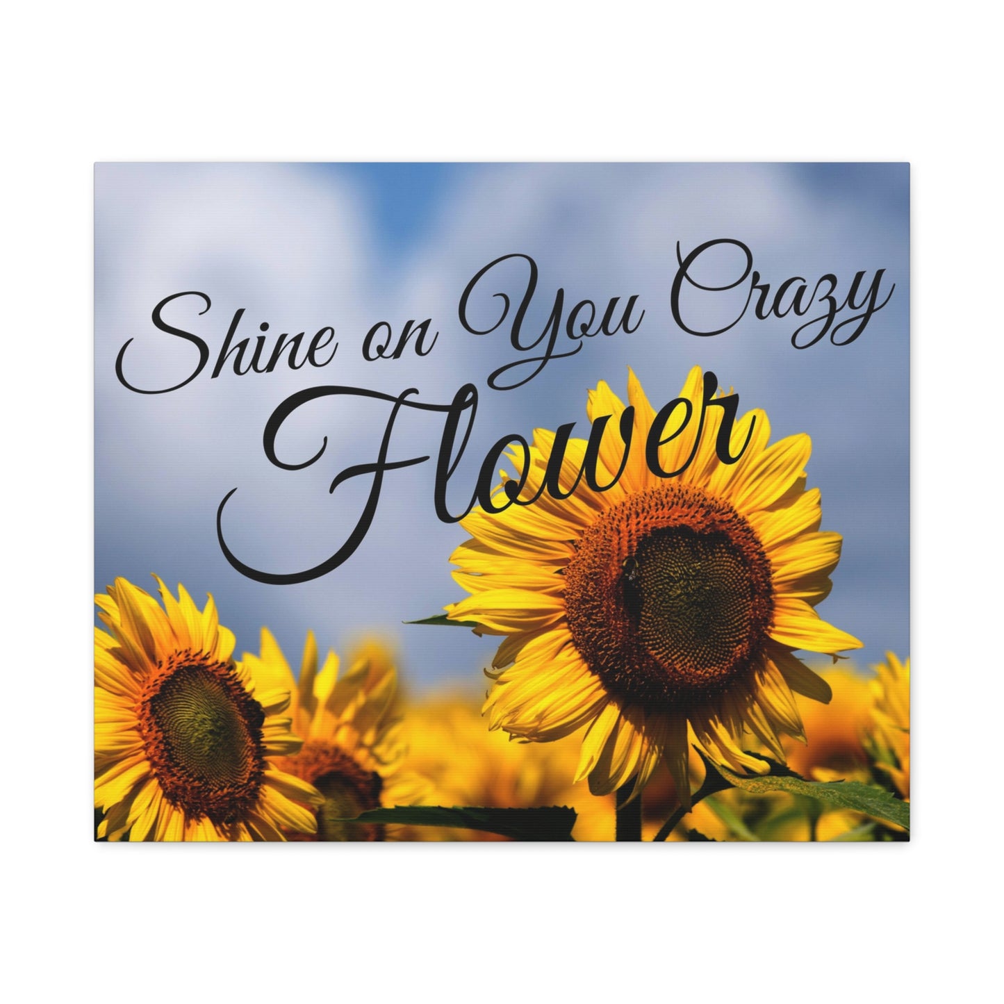 Shine on You Crazy Flower Matte Canvas, Stretched, 1.25"