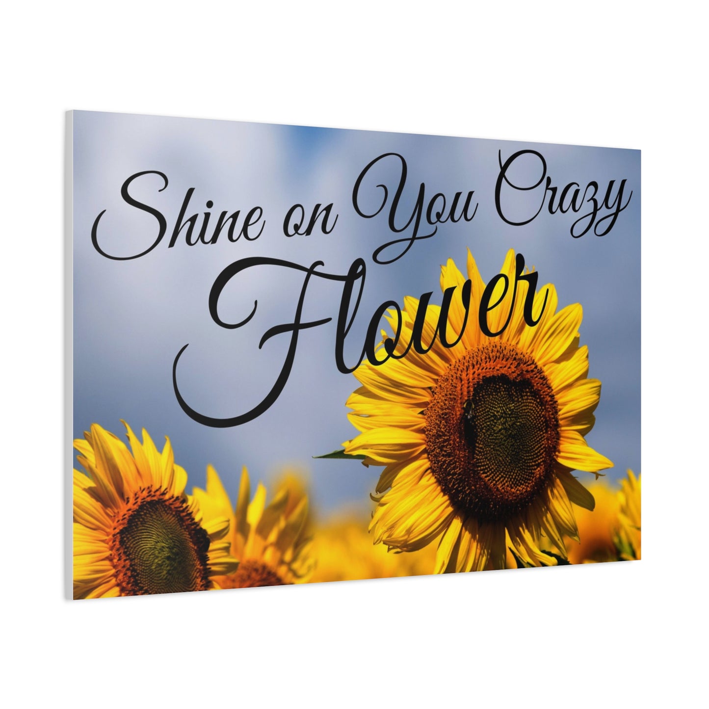 Shine on You Crazy Flower Matte Canvas, Stretched, 1.25"