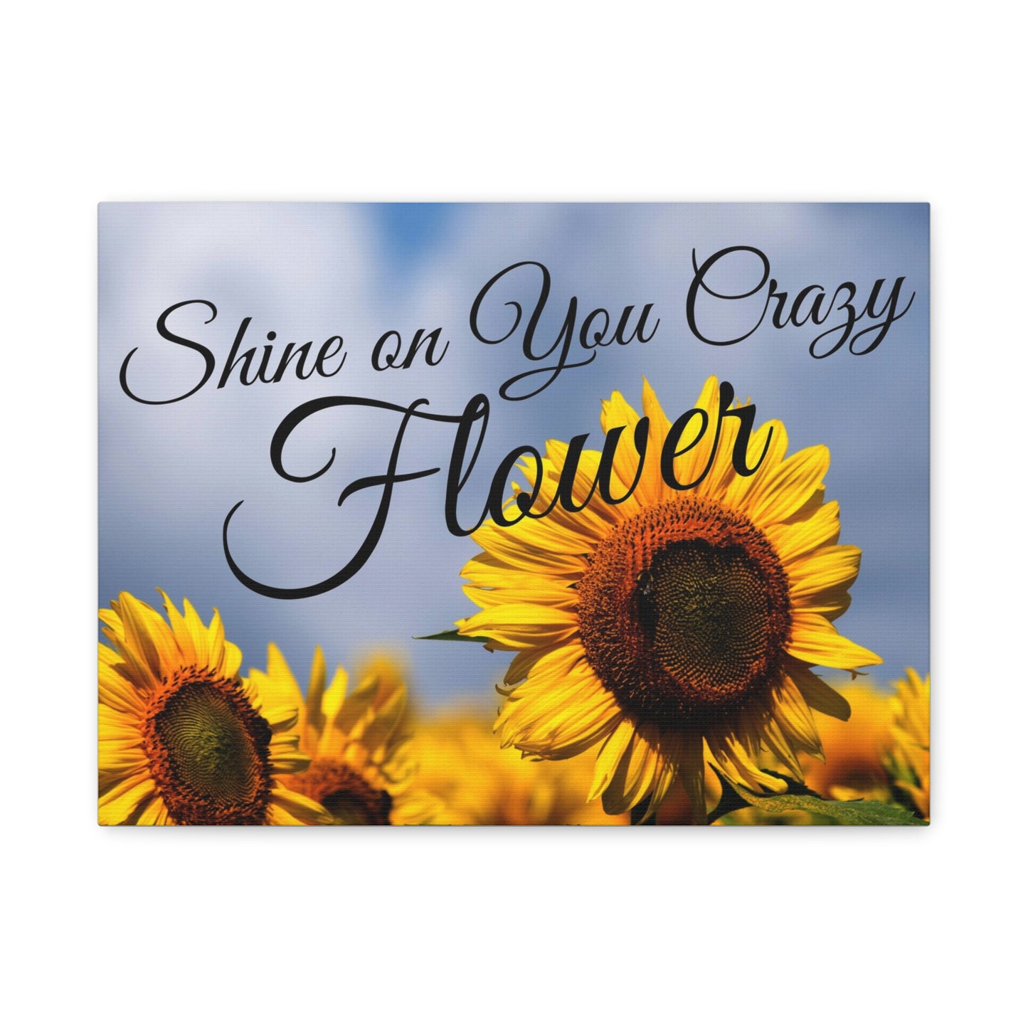 Shine on You Crazy Flower Matte Canvas, Stretched, 1.25"