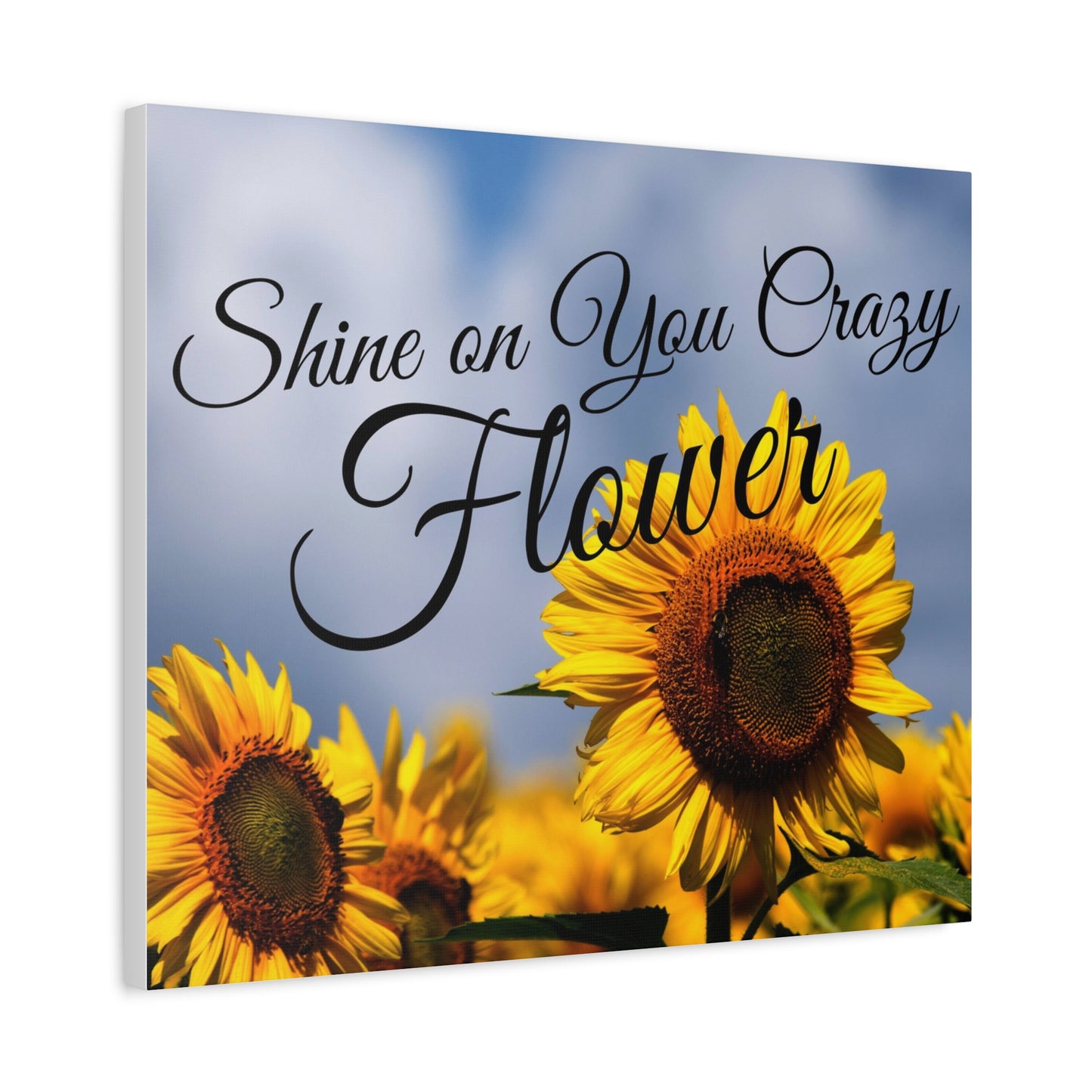 Shine on You Crazy Flower Matte Canvas, Stretched, 1.25"