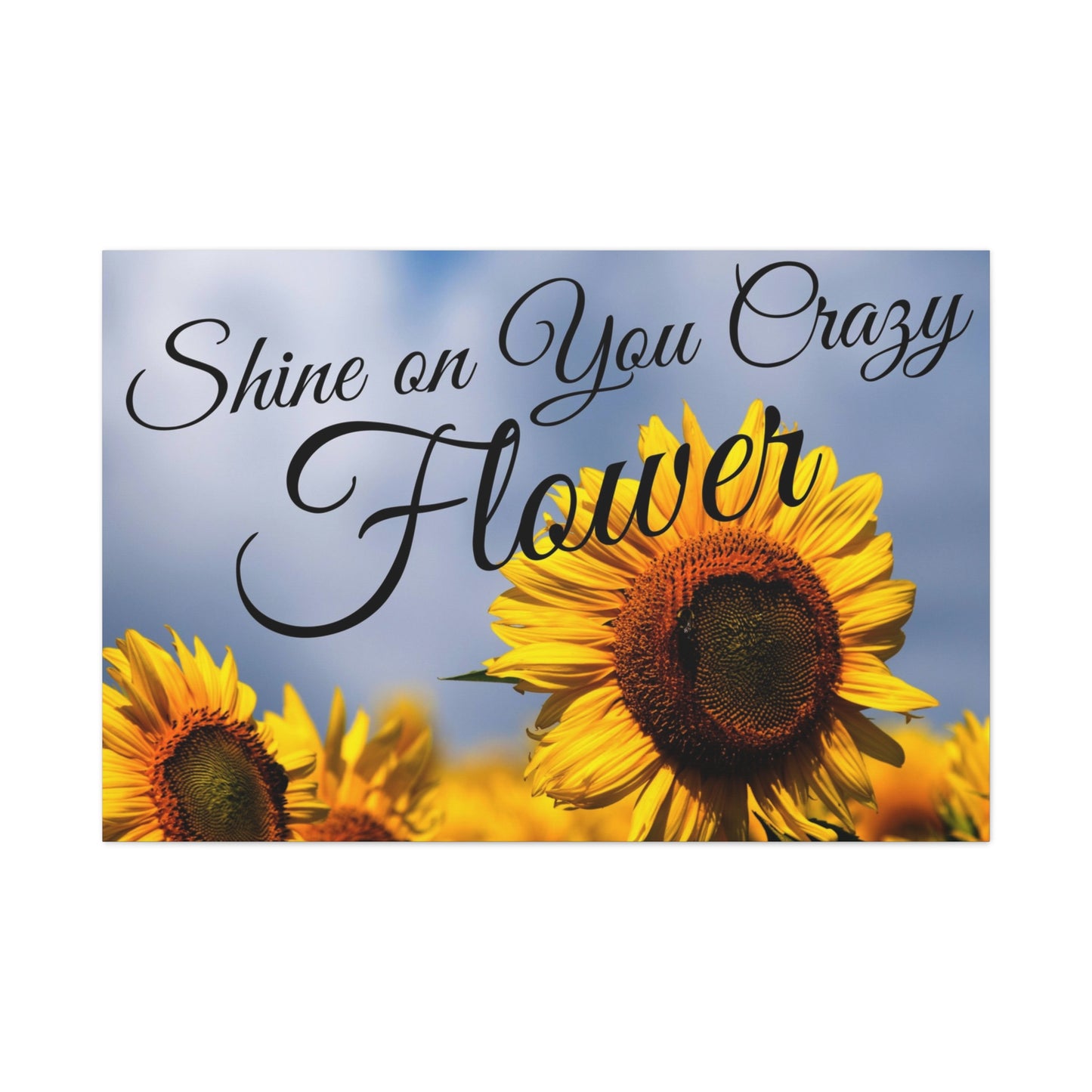 Shine on You Crazy Flower Matte Canvas, Stretched, 1.25"