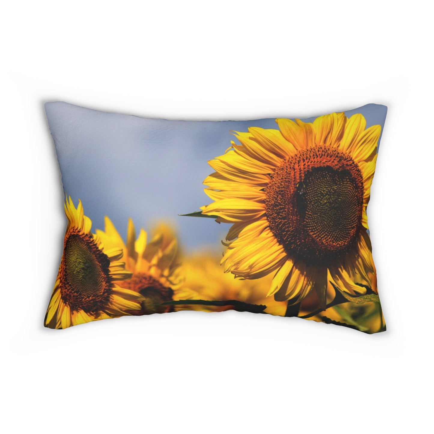 Shine on You Crazy Flower Spun Polyester Lumbar Pillow